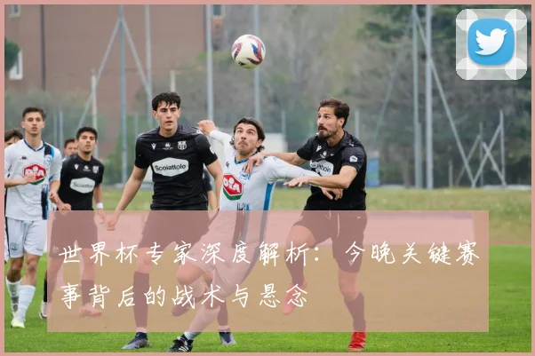 世界杯专家深度解析:今晚关键赛事背后的战术与悬念